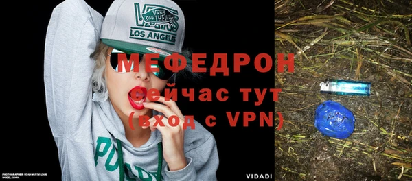 хмурый Пересвет