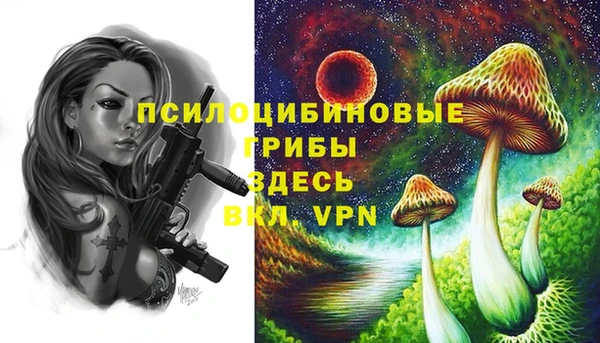 марки lsd Балабаново