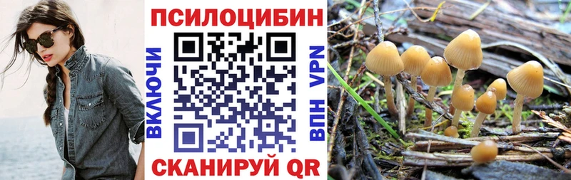 omg ссылка  Нурлат  мориарти официальный сайт  продажа наркотиков  Псилоцибиновые грибы Magic Shrooms 